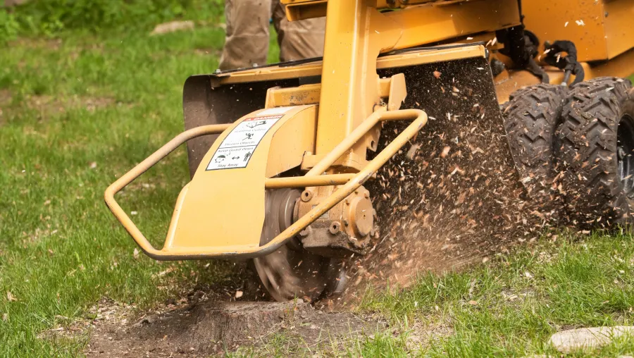 Stump Grinding Stump Grinding